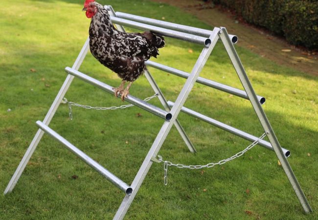 PHOTO-2020-09-12-14-06-20